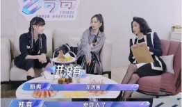 娱乐吃瓜酱去面试,揭秘面试背后的精彩故事