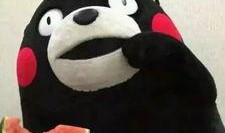 喵星娱乐吃瓜群众,吃瓜群众揭秘娱乐圈幕后真相