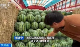 娱乐圈吃瓜直播间甘蓝,甘蓝带你揭秘明星幕后故事