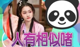 娱乐圈吃瓜爆料模板下载,明星背后的惊人真相，吃瓜群众必看！