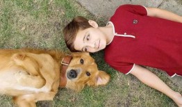 娱乐吃瓜君小狗