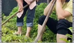 娱乐八卦是吃瓜群众,吃瓜群众带你领略八卦风云