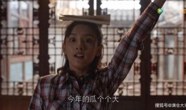 娱乐圈的吃瓜典藏,盘点那些年我们追过的热点事件