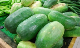 娱乐吃瓜原创度高不高,原创度揭秘，真相大白！