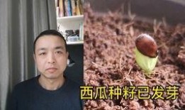 娱乐吃瓜情侣吵架,甜蜜变硝烟，真相背后谁主沉浮？