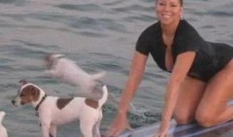 娱乐吃瓜君小狗