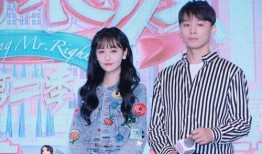 娱乐圈吃瓜文合集小说,揭秘幕后真相与甜蜜瓜皮