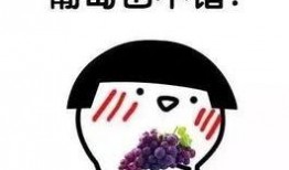 娱乐吃瓜君文字,揭秘娱乐圈那些不为人知的幕后故事