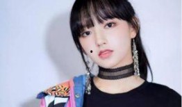 娱乐圈吃瓜程潇小说免费阅读