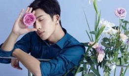 娱乐圈的吃瓜影帝多少字,揭秘明星背后的故事与争议