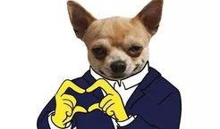 娱乐吃瓜君小狗