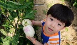 娱乐吃瓜酱爷爷打伞,娱乐界的温馨一幕