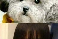 娱乐圈吃瓜爆料弟弟泰迪,泰迪弟弟吃瓜爆料，揭秘幕后真相