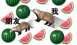 娱乐大晨吃瓜,揭秘娱乐圈最新吃瓜事件，带你领略明星幕后故事