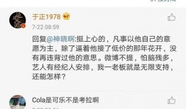 娱乐圈吃瓜文件最新,揭秘明星幕后真相与情感纠葛