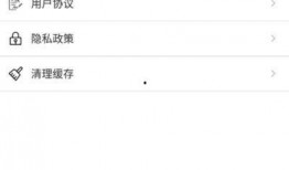 娱乐吃瓜音乐是什么软件,揭秘热门音乐软件背后的故事