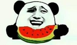 娱乐 吃瓜,吃瓜群众带你领略幕后风云