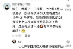 抖音吃瓜娱乐博主是谁啊