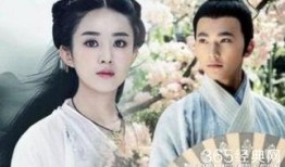 娱乐吃瓜杨洋视频大全集,笑料百出，精彩瞬间大盘点