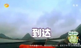 娱乐吃瓜解说文案大全图片,揭秘热门事件幕后真相