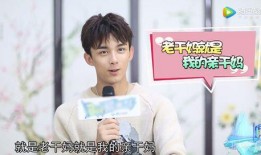 娱乐圈吃瓜吴磊是谁啊,揭秘吴磊的星光之路