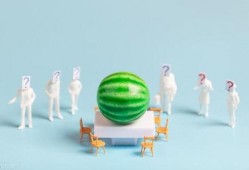 吃瓜娱乐照片大全