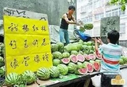 娱乐搞笑吃瓜图片大全