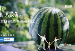 啵啵娱乐吃瓜,揭秘娱乐圈吃瓜背后的真相与笑料