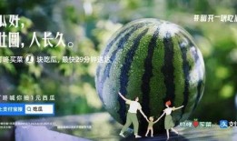 啵啵娱乐吃瓜,揭秘娱乐圈吃瓜背后的真相与笑料