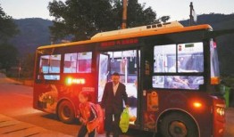 娱乐吃瓜酱小猫坐公交车,萌宠坐公交，趣味横生一幕