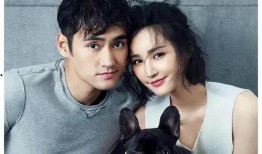 娱乐圈吃瓜爆料网剧有哪些,盘点那些令人捧腹的吃瓜爆料网剧