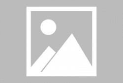 娱乐吃瓜菌本人,揭秘娱乐圈那些不为人知的幕后故事