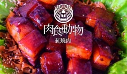 娱乐吃瓜酱猪脚饭