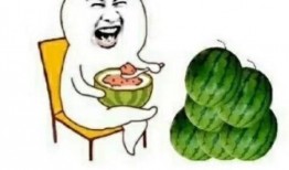 吃遍娱乐圈的瓜,吃遍明星们的私房菜